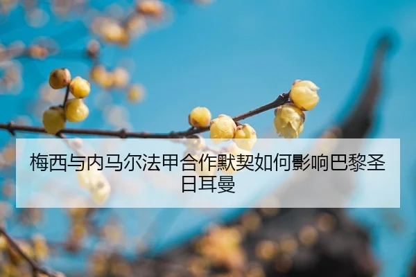 mei-xi-yu-nei-ma-er-fa-jia-he-zuo-mo-qi-ru-he-ying-xiang-ba-li-sheng-ri-er-man-2-804.jpg