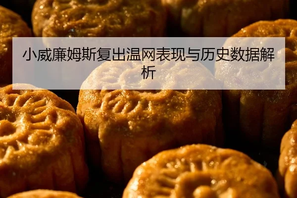 小威廉姆斯复出温网表现与历史数据解析