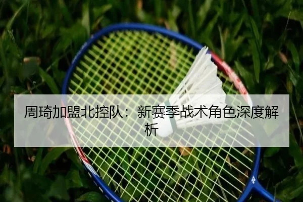周琦加盟北控队：新赛季战术角色深度解析